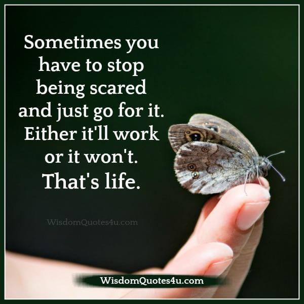 Either it will work or it won't, that's LIFE